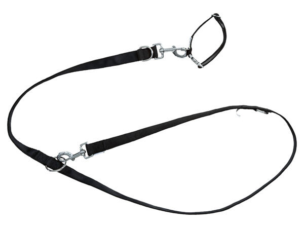 Hundehalsband/-leinen Set