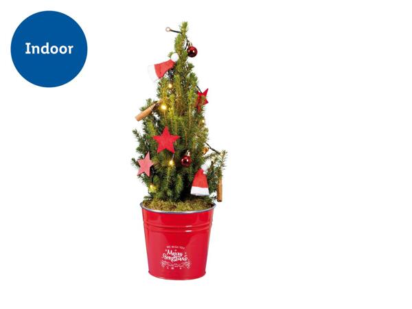 Christmas Tree with Lights and Deco