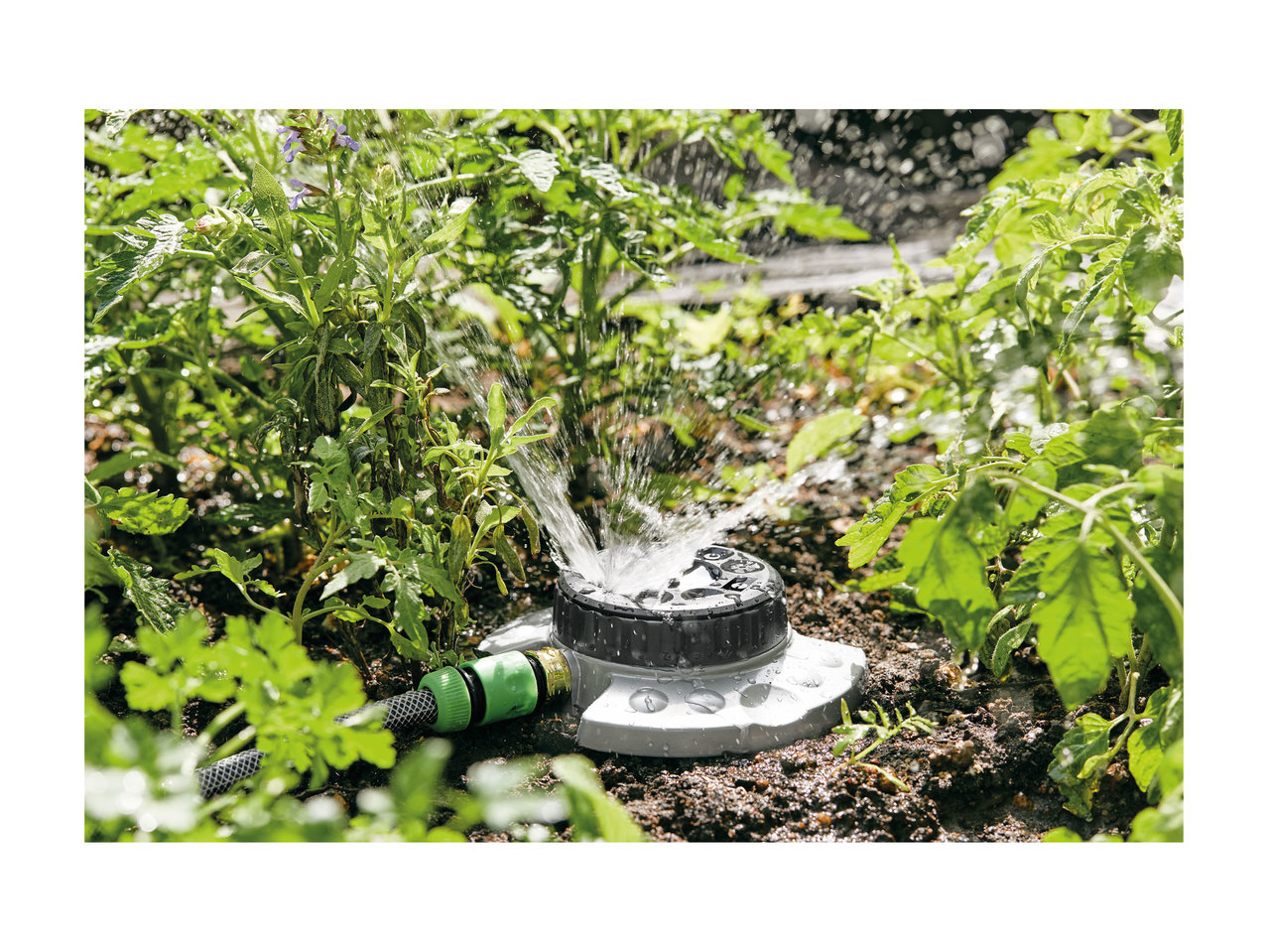 Florabest Lawn or Dial Sprinkler1