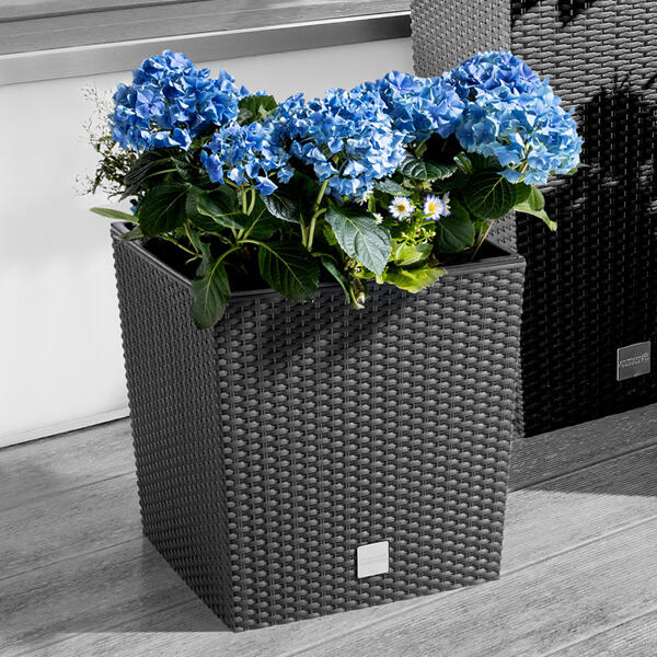 Blumentopf