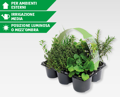 Erbe aromatiche assortite GARDENLINE(R)