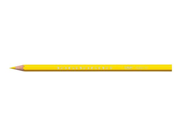BIC Stationery Assortment