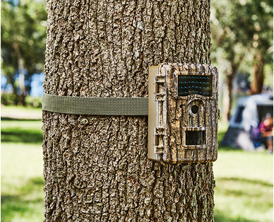 Wildlife Camera