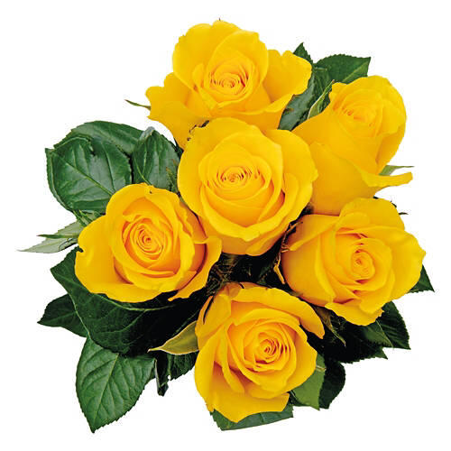 6 Roses Flower Bouquet - Assorted Color