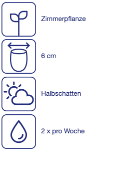 Fleischfressende Pflanze