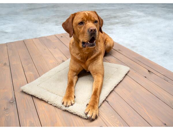 Pet Warming Blanket