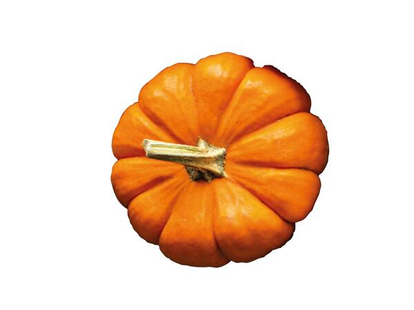 Medium Pumpkin