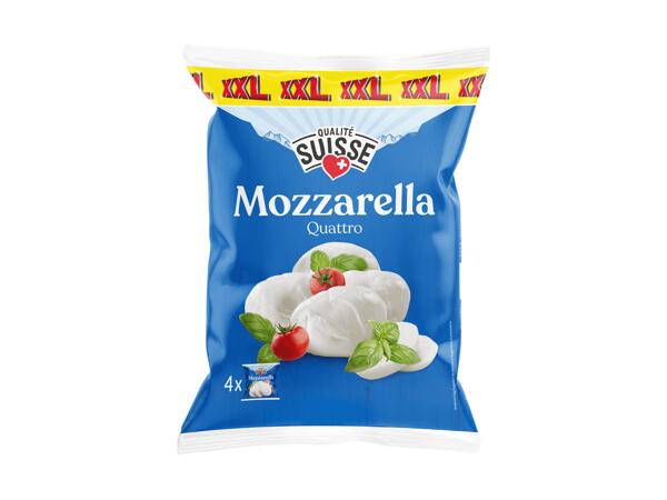 Mozzarella suisse XXL