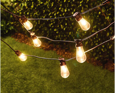 LED Festoon Lights 