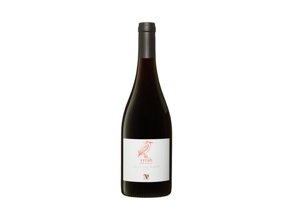 Shiraz Valle del Rapel 2020