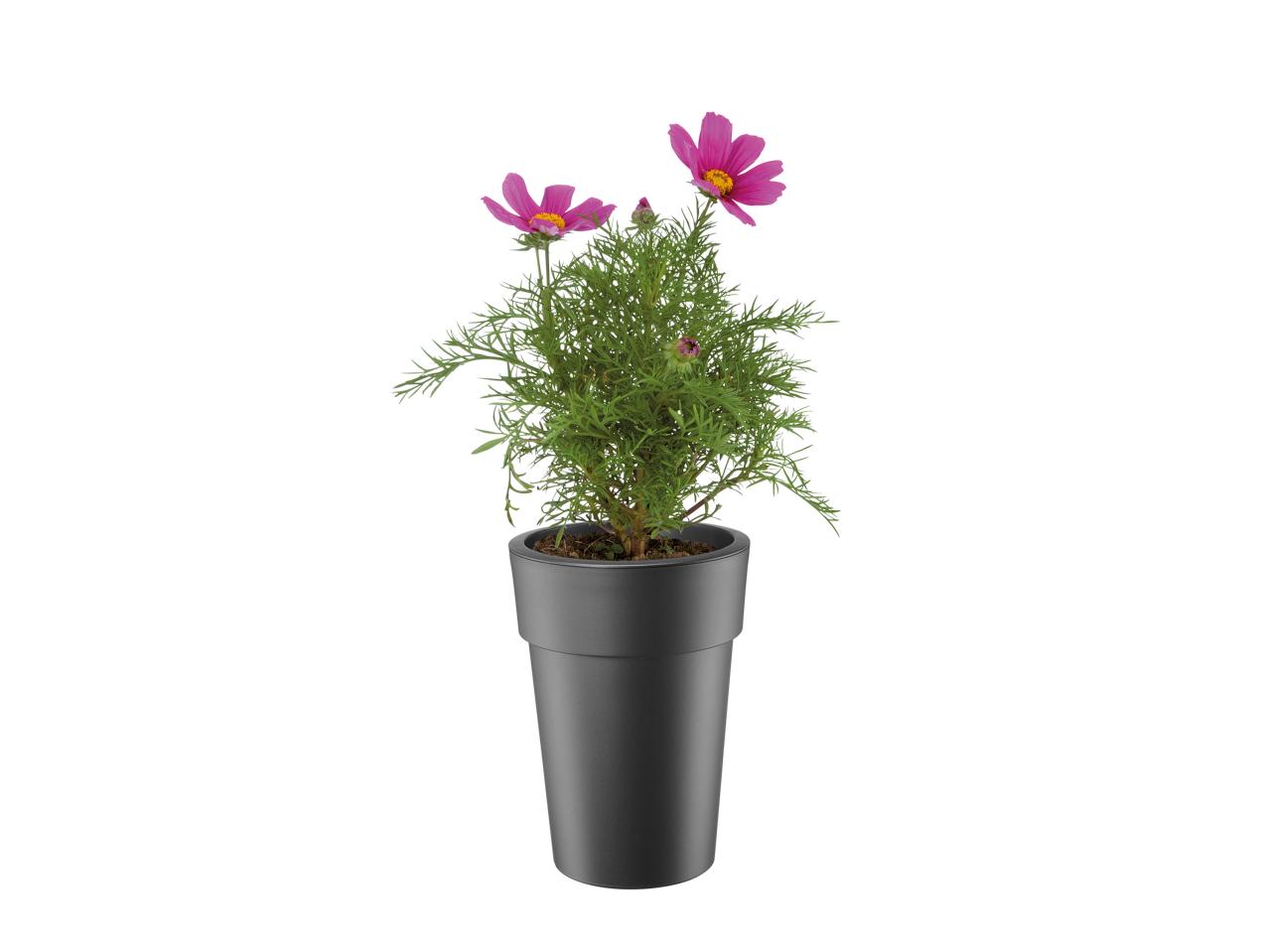 Florabest Plant Pot - Available from 30th April1