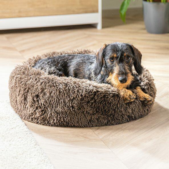 Coussin pour animaux domestiques