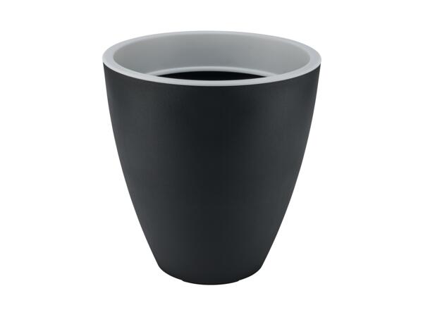 Plant Pot