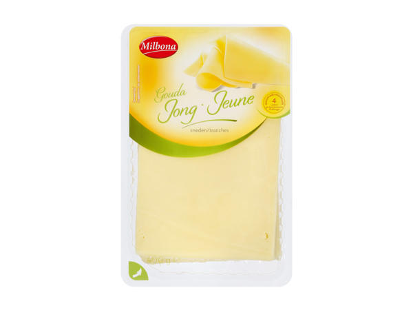 Mittelalter Gouda