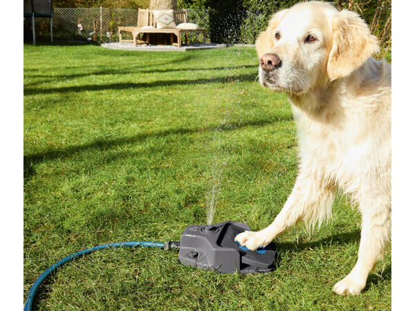 Step-On Dog Water Fountain