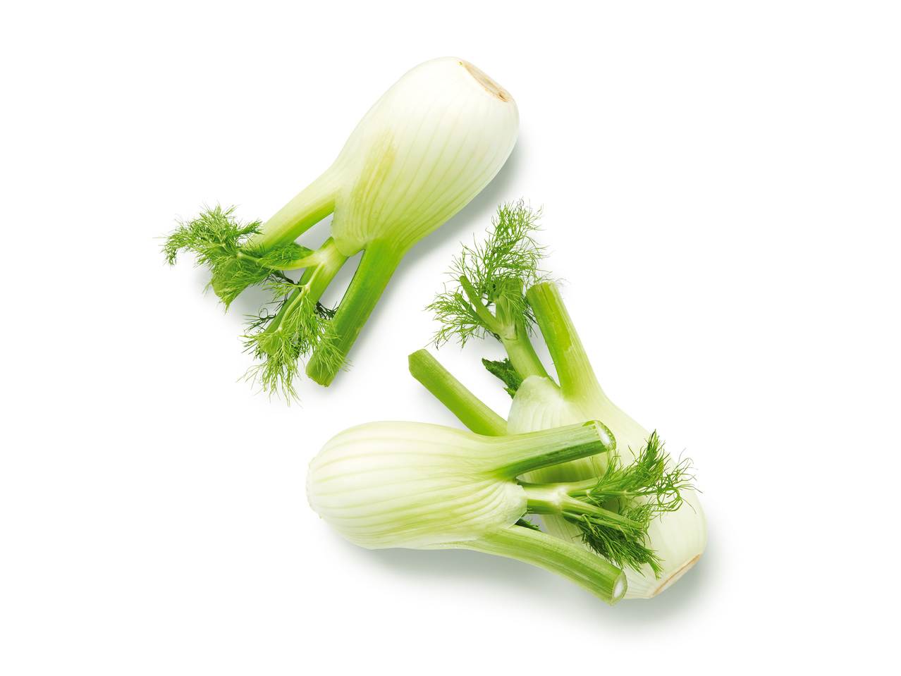 FÄNKÅL