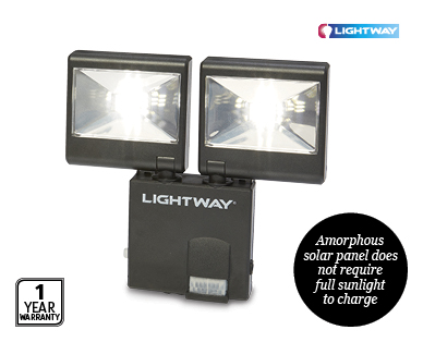 Solar Floodlight