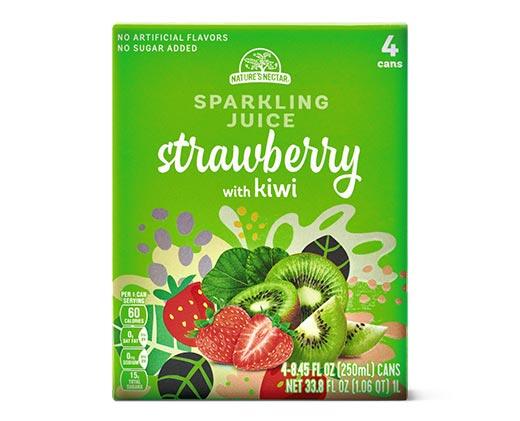 Nature's Nectar
Sparkling Strawberry 4-Pack Assorted Varieties