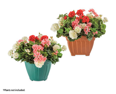 Self-Watering Patterned Pot†