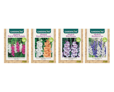 Dahlia and Gladioli Packet Bulbs