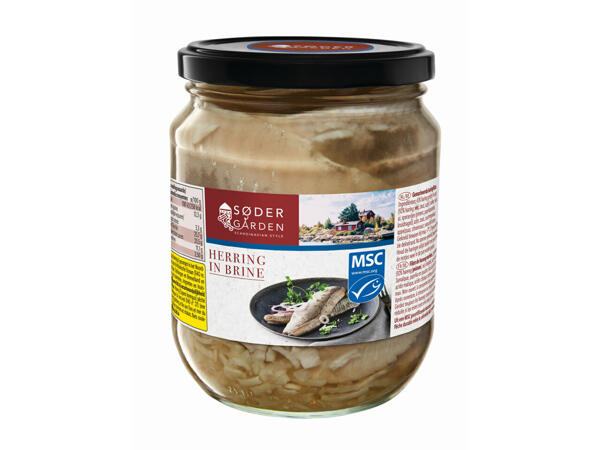 Filet de hareng