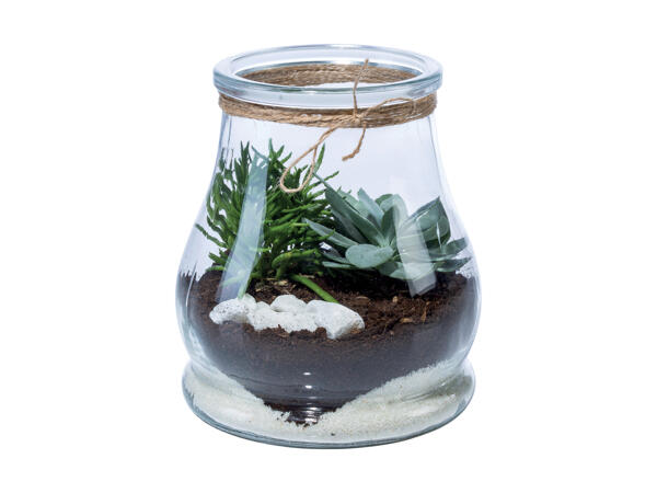 Grønne planter i glas