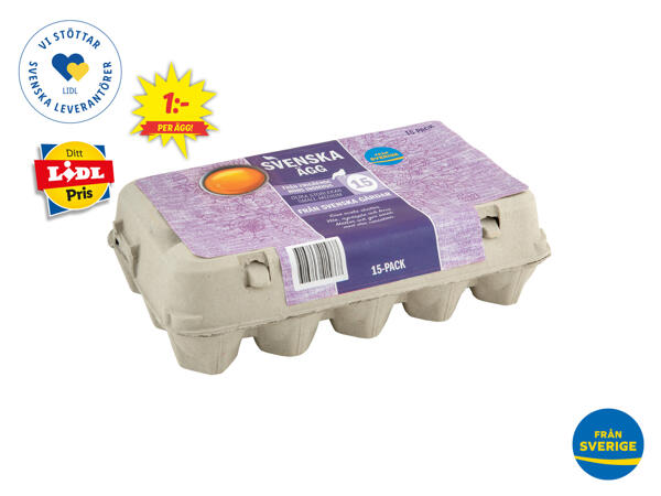 Ägg S/M 15-pack