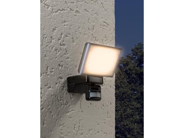 LED Outdoor Light