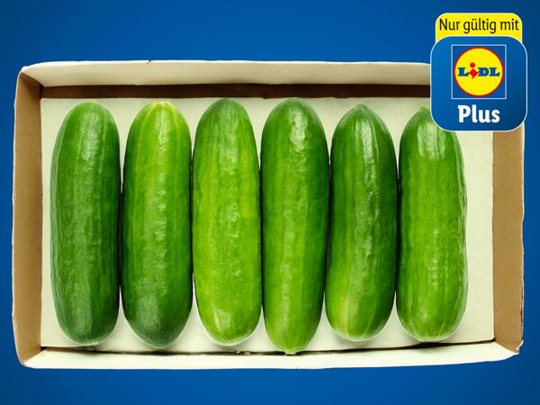 Snack Gurken aus Österreich