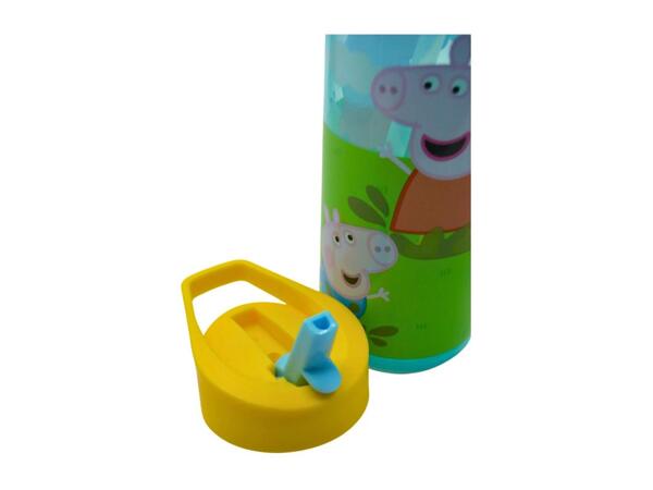 Zak Character Water Bottle - 600ml