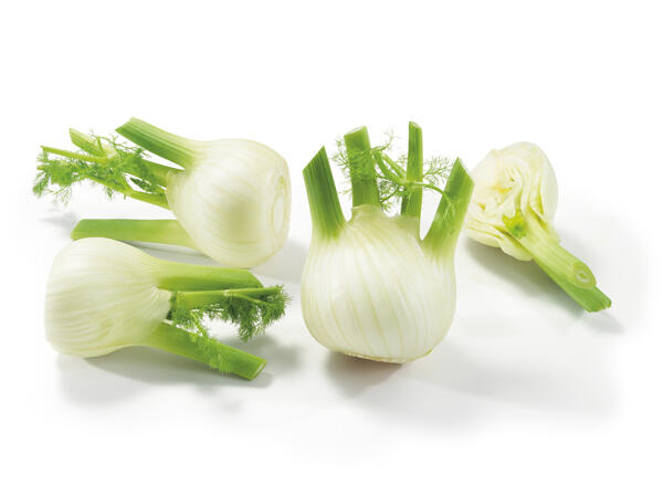 Fennel