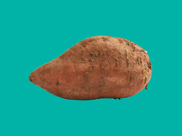 Sweet Potato