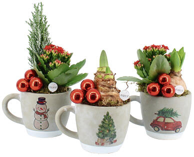 BEPFLANZTE WEIHNACHTSTASSE