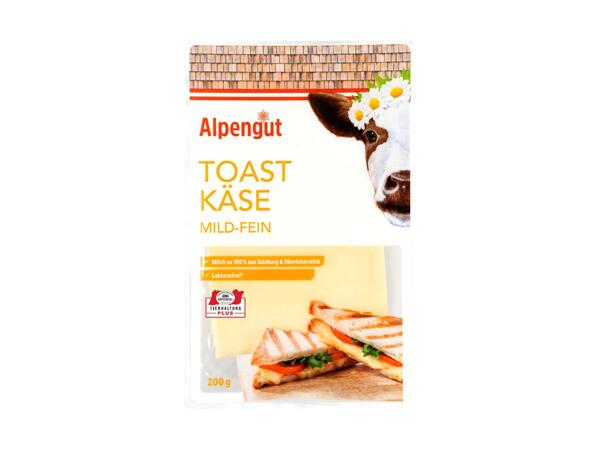 Toastkäse in Scheiben