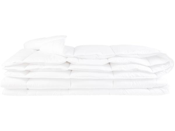 Dust Mite Duvet