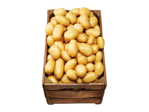 Ekologisk potatis