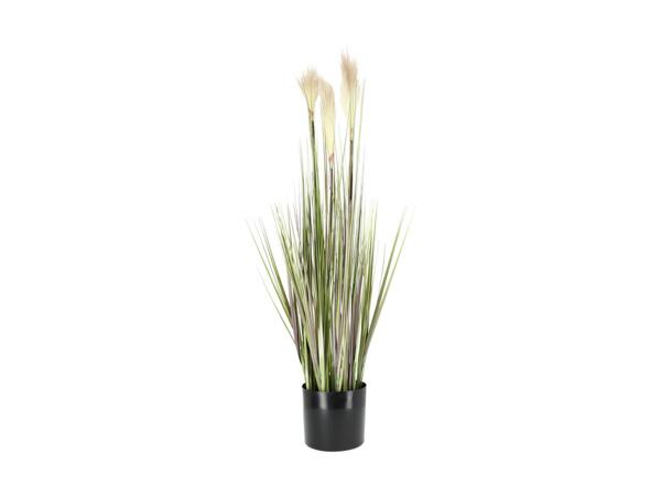 LIVARNO(R) Kunstig plante
