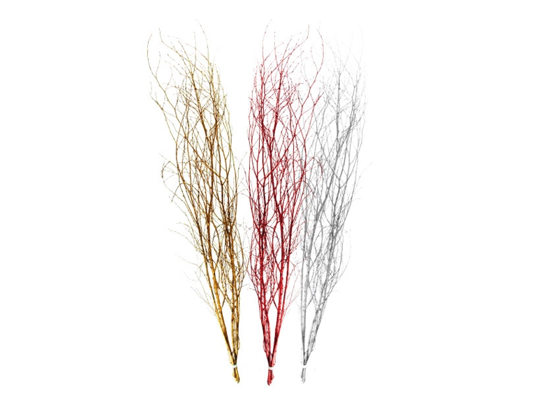 Decorative Birch Twigs