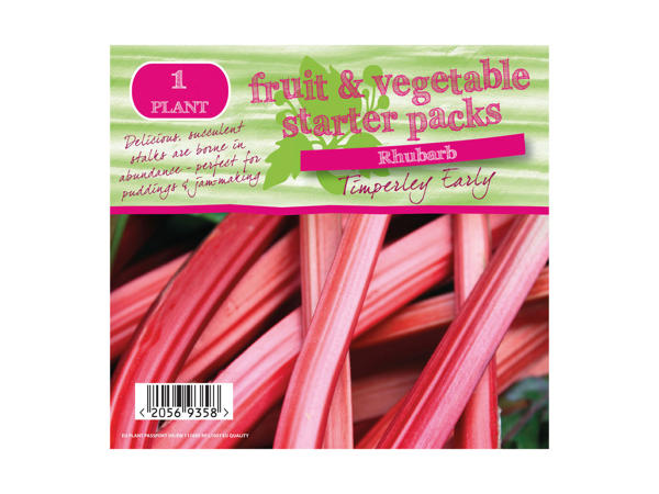 Rhubarb Starter Pack