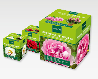 Lot pour la culture des pivoines GARDENLINE(R)