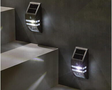 Solar Step or Wall Light 