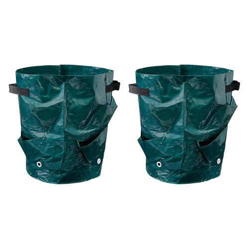2 Pack Strawberry Grow Bags