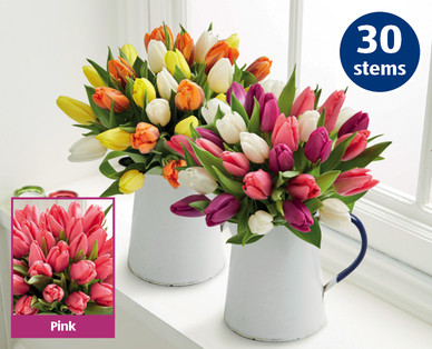 Mother's Day Tulips^