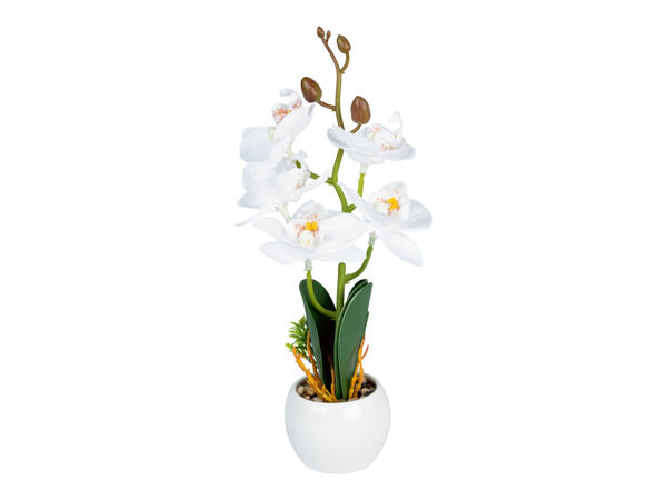 Artificial Orchid