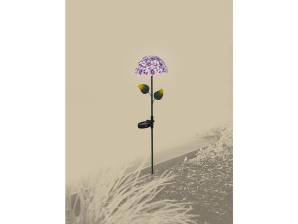 Decorative Solar Light