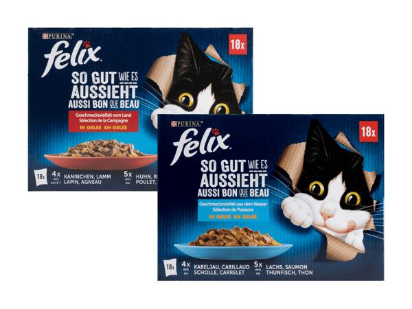 Katzennahrung nass Premium