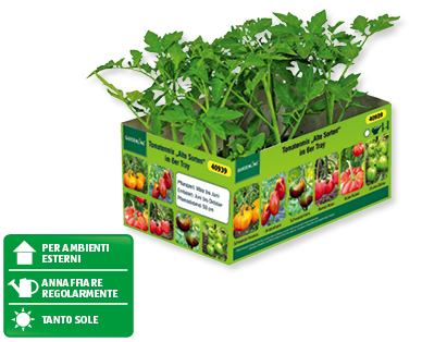 Pomodori assortiti