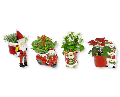 Arrangement de Noël