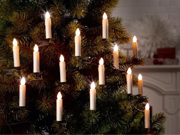 20 LED String Lights