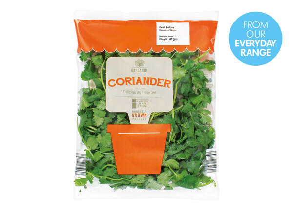 Oaklands Coriander